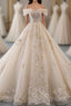 Champagne Off Shoulder Tulle Lace Long Wedding Dresses Wedding Gown