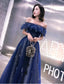 A-Line Fairy Prom Dresses Sparkle Prom Dresses Off Shoulder Short Sleeve Floor Length Tulle With Sequins Embroidery