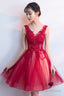 A-Line Tulle Short Prom Dresses V-Neck Lace Mini Prom Dresses