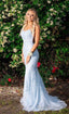 Light Blue Mermaid Lace Prom Dress , Pageant Dress, Prom Dress, Dance Dresses