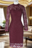 Adorable Wine Red Long Sleeve Mother of the Bride Dress
