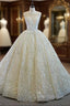 Always Remember Wearing Champagne Ball Gowns Tulle Embroidery Pleats Wedding Dress