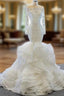 At Incredible Price White Mermaid Tulle Off the Shoulder Long Sleeve Wedding Dress