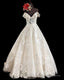 Ball Gowns V Neck Corset Lace Embroidery Wedding Dresses