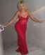 Red Fashion Elegant Lace Spaghetti Strap Long Birthday Prom Dresses Prom Dresses Prom Dresses