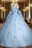 Blue Tulle Long Sleeves Formal Dress with Flowers, Blue A-Line Prom Party Dress