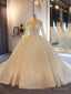 Sparkling Shinny Lone Sleeves Lace Up Ball Gowns Prom Dresses