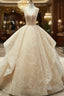 Champagne Ball Gowns Lace Tulle Sequins V Neck Backless Wedding Dress