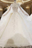 Champagne Ball Gowns Tulle Appliques Beading Wedding Dress With Train