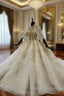 Champagne Ball Gowns Tulle Appliques High Neck Short Sleeve Wedding Dress