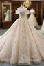 Champagne Ball Gowns Tulle Lace Appliques Off The Shoulder Haute Couture Wedding Dress