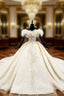 Champagne Ball Gowns Tulle Off the Shoulder Appliques Beading Wedding Dress