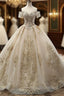 Champagne Ball Gowns Tulle Off The Shoulder Appliques Wedding Dress