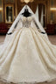 Champagne Ball Gowns Tulle Off the Shoulder Beading Appliques Long Sleeve Wedding Dress