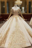 Champagne Ball Gowns Tulle Off the Shoulder Lace Appliques Wedding Dress
