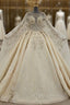 Champagne Ball Gowns Tulle Sequins Beading Wedding Dress With Long Train