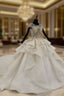 Champagne Ball Gowns Tulle Sequins Cap Sleeve Backless Wedding Dress