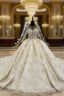 Champagne Ball Gown Tulle Sequins Long Sleeve Backless Appliques Wedding Dress