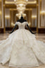 Champagne Ball Gowns Tulle Sequins Off the Shoulder Appliques Beading Luxury Wedding Dress