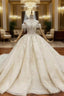 Champagne Ball Gowns Tulle Sequins Wedding Dress With Train