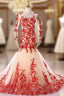 Champagne Mermaid Tulle Res Appliques Long Sleeve Prom Dress