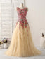 Champagne Tulle Long Prom Dress Lace Applique Prom Dress