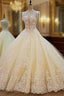 Champagne Wedding Dress Ball Gowns Corset Back Beading Lace Bridal Gown
