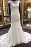 Classic Cap Sleeves White Illusion neck Lace Mermaid Wedding Dress with Court Train