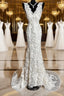 Classy Mermaid V Neckline Lace Ivory Long Wedding Dresses Bridal Dress