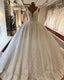 Deep V Neck Wedding Dresses Ball Gowns Lace Appliques