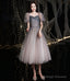 Gray Tulle Short A-Line Dresses Homecoming Dresses