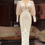 Lace Prom Dress Mermaid Prom Dress Long Sleeve Prom Dress Sheath Prom Dress Arabic Prom Dress