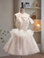Champagne Spaghetti Strap Tulle Short Prom Dress, Cute A Line Homecoming Dress