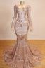 Long Sleeves V Neck Mermaid Prom Dress Sequins Long Chiffon