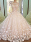Luxury Bridal Gowns With Sleeves Beading 3D Flowers Ball Gowns Lace Wedding Dress