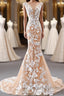 Mermaid Open Back Champagne Lace Long Prom Dress Champagne Lace Prom Dress Champagne Prom Dress