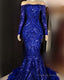 Off The Shoulder Mermaid Sparkly Dress