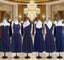 Short Navy Blue Chiffon Mismatch Maid Of Honor Girls Group In Knee Length Simple Cheap Prom Dress