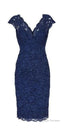 Prom Dresses V Neck Navy Blue Lace Short Mother Of The Bride Dresses