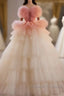 Romantic Pink Tulle Ball Gown Ombre Tiers Prom Dress