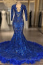 Royal Blue Robe De Soiree Mermaid V-Neck Long Sleeves Appliques Feather Long Prom Dresses Prom Gowns Prom Dresses