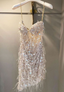 Sequin Prom Dress Sheath Short Prom Dress