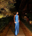 Sheath Blue Prom Gowns Prom Dress