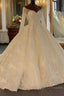 Shinny Long Ball Gown Sweetheart Tulle Lace Wedding Dresses with Sleeves