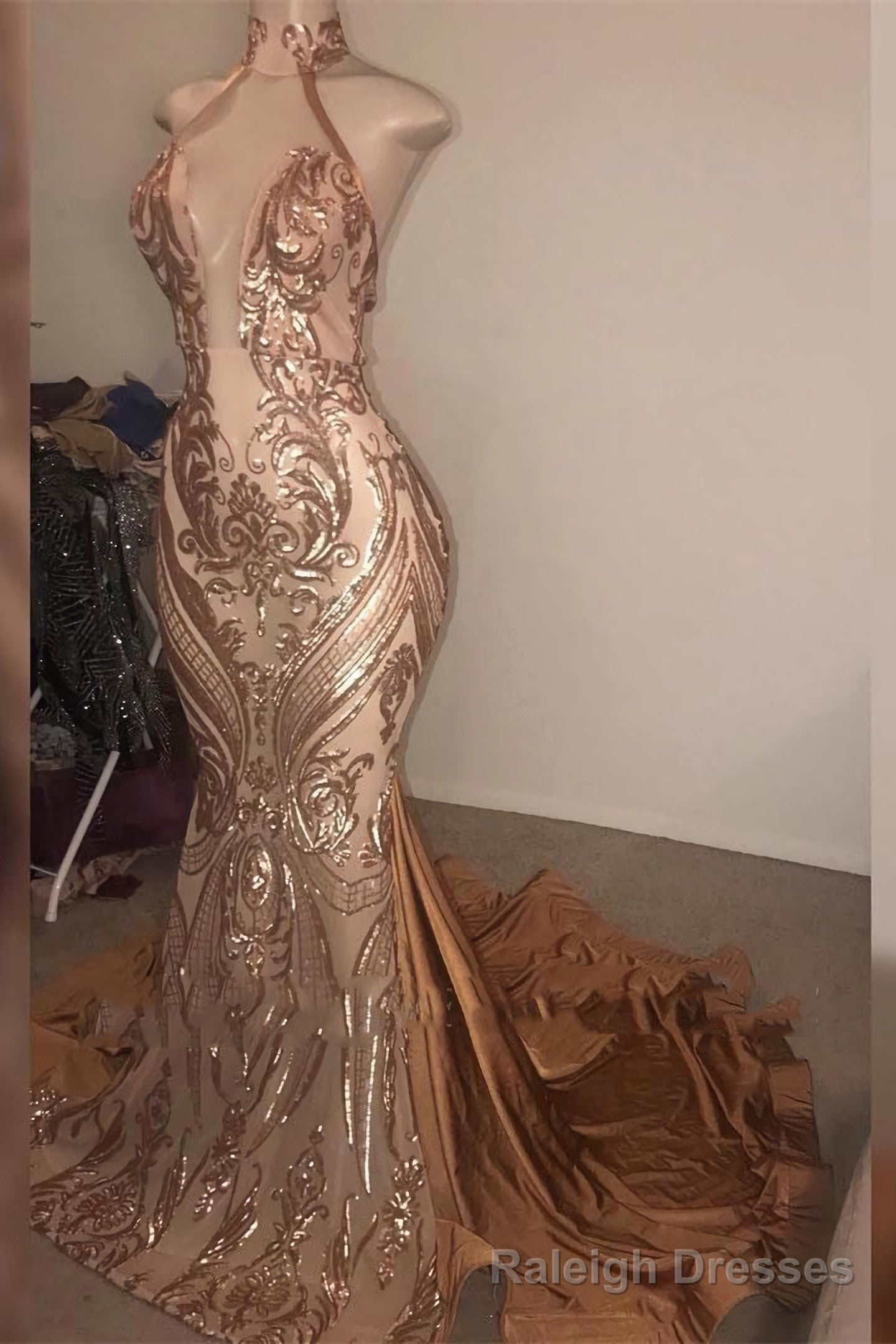 2025 Mermaid Dusty Rose Halter Long Backless Lace Prom Dresses Main image