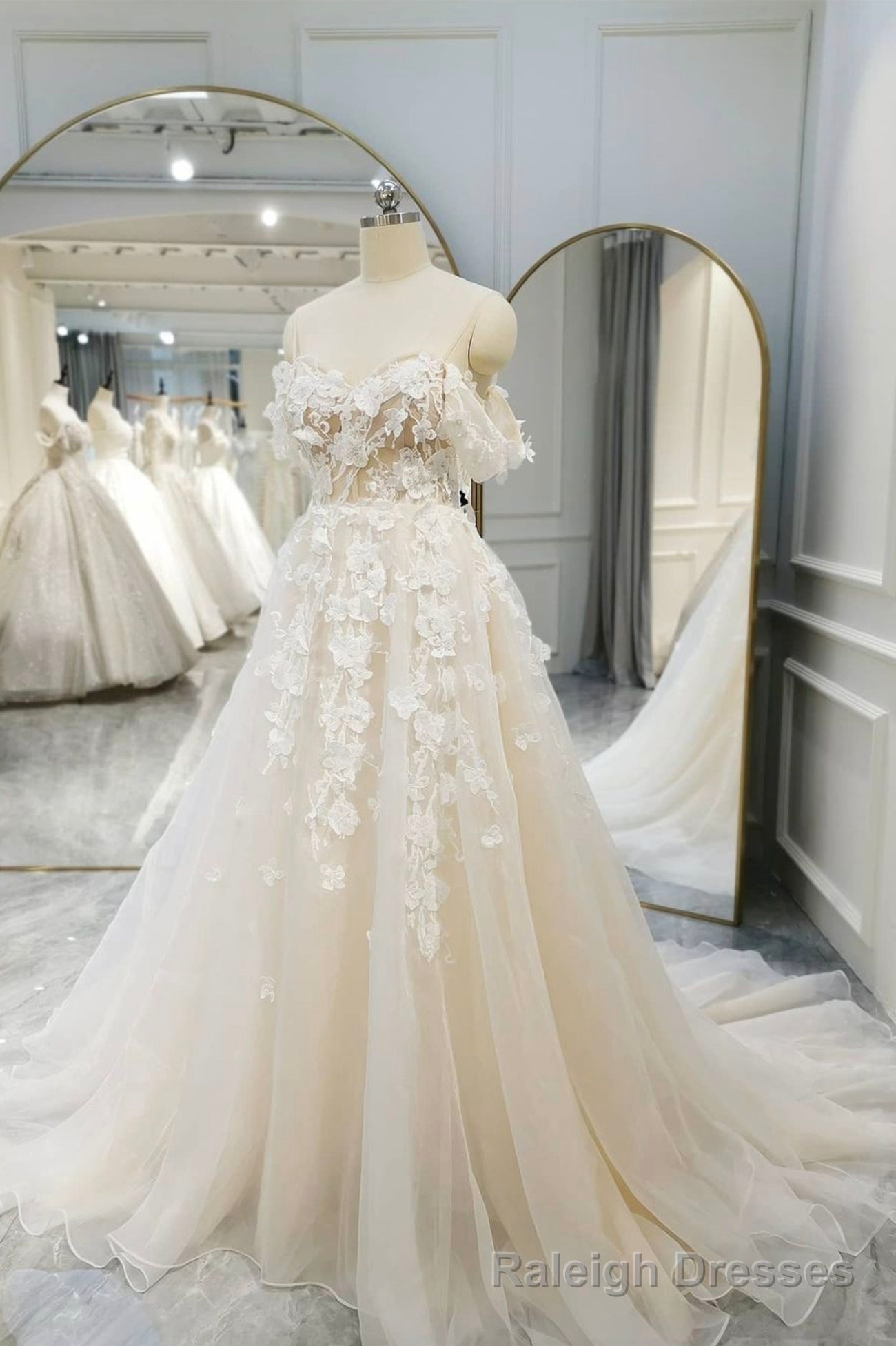 Champagne Tulle Lace Long Prom Dress, A Line Prom Gowns Main image