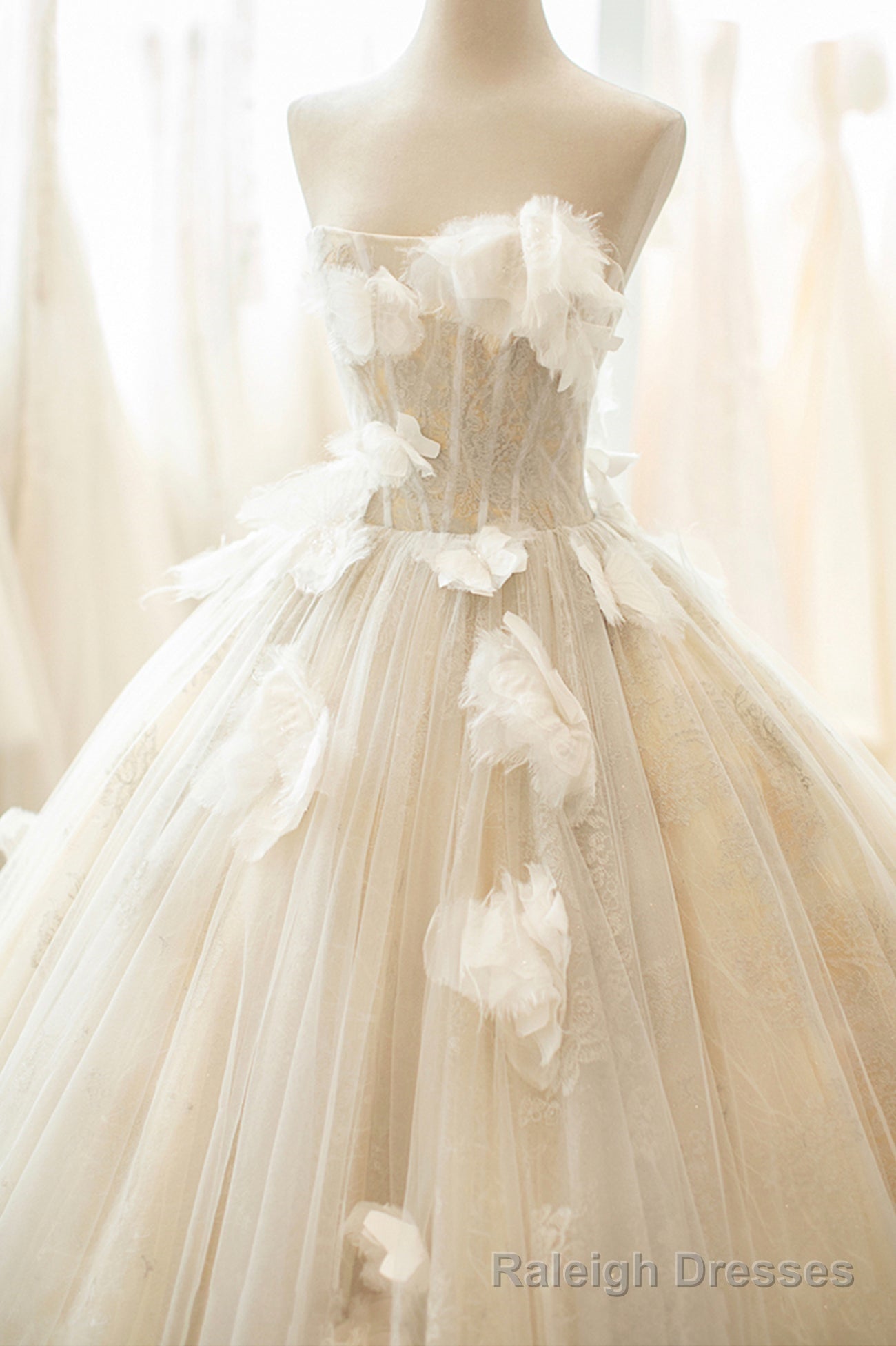 Champagne Tulle Lace Long Formal Dress, A-Line Evening Gown Main image