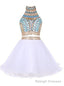 Two Piece High Neck White Tulle Short Homecoming Dress 2026 with Beading Rhinestone