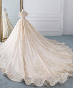Champagne Off Shoulder Tulle Lace Long Wedding Dresses Wedding Gown