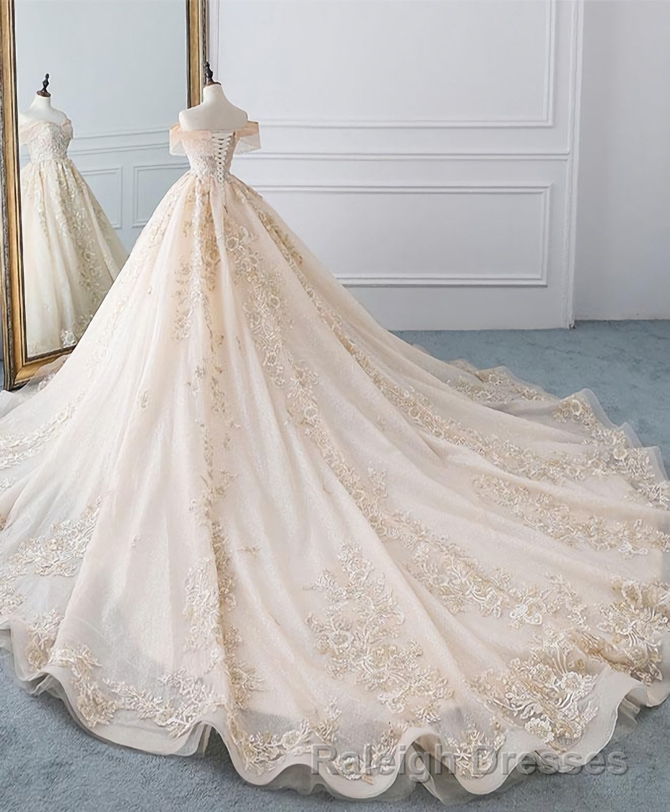 Champagne Off Shoulder Tulle Lace Long Wedding Dresses Wedding Gown